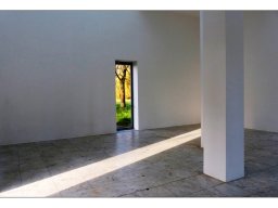 Rainer Hanemann "Durchblick"
